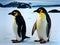 Penguin Antarctica surrealism Kodachrome detailed quality