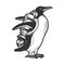 Penguin bird with jetpack sketch vector