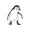 Penguin. Black and white illustration