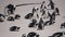 Penguin colony blackfooted in South Africa boulders beach natural habitat tourist attraction