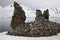 Penguin Colony on a rock formation - Antarctica