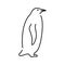 Penguin color line illustration. Marine mammals.