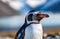 Penguin Day, adult penguin, close-up, far north, snowy coast, kingdom of ice and snow, frosty sunny day