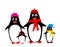 Penguin family