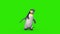 Penguin Fast Walks Green Screen Front 3D Rendering Animation 4K