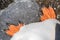 Penguin feets close-up POV in Antarctica, unique point of view of belly and legs of seabird standing on stone, Antarctic Peninsula