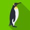 Penguin, flightless sea bird. The Imperial Penguin single icon in flat style vector symbol stock illustration web.