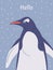 Penguin, flightless seabirds of Antarctica, cartoon nature pole animal, Arctic fauna wild mammal, Hello vector poster