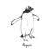 Penguin holding wide wings and walking, hand drawn doodle, sketch in pop art style, vector outline illustration