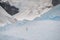 Penguin on an iceberg in the Antarctic