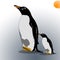 penguin illustration image, cold-resistant polar bird