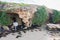 Penguin Island Limestone Caves