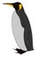 Penguin king, illustration, vector