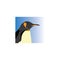 penguin logo icon animal design natural vector illustration