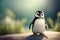 Penguin Paradise A Glimpse into Nature\\\'s Tuxedoed Wonders