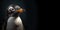 Penguin portrait on a black horizontal background with space for text. Generative AI.