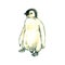 Penguin poult standing, isolated watercolor illustration