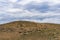 Penguin Reserve at Magdalena island in the Strait of Magellan.