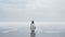 Penguin\\\'s Pensive Stillness: A Captivating National Geographic Photo