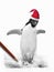 Penguin In Santa Hat