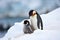 penguin shielding its chick on snowy terrain