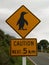 Penguin sign