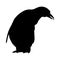 Penguin Silhouette