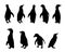 Penguin silhouettes