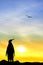 Penguin at sunset