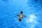 Penguin swims in the blue water in the zoo