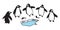 Penguin vector icon logo cartoon character fish salmon iceberg illustration symbol doodle graphic