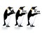 Penguin waiter