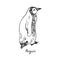 Penguin walking, hand drawn doodle, sketch in pop art style, vector outline illustration