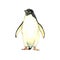 Penguin walking, standing, isolated watercolor illustration
