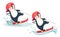 Penguin water skiing