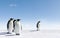 Penguins in Antarctica