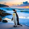 Penguins on the beach with sunset and sunrise backgrounds exposed to silhouette light