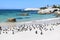 Penguins  in Exotic and beautiful  Boulders beach in South Africa