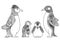 Penguins family line art design for coloring book for adult , T - shirt design and other decorations