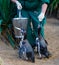 Penguins feeding in zoo