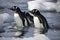 penguins floating on ice