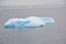 Penguins gathered on an iceberg