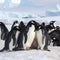 Penguins huddled together on a frozen glacier surface. Created using ai generative.