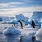 Penguins on an iceberg