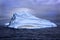 Penguins on Iceberg, Antarctic Sound