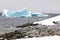 Penguins on rocks of shore and turquoise icebergs in Arctic Ocean, Antarctica