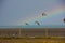 Penguins and seagulls with a beautifull rainbow.