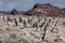 Penguins sitting on the rocky beach