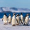 Penguins on a Snowy Beach