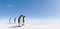 Penguins on snowy landscape